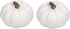 Elanze Designs Classic White Decorative Pumpkins Pack of 2, 6 Inch Resin Harvest