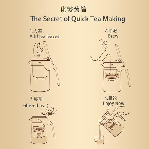 500ML Glass Teapot with Detachable Infuser, Filter Teapot for Loose Leaf Tea