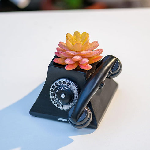 Yardwe 1pc Retro Telephone Shaped Animal Succulent Planter Pot, Modern Cute Vintage Flower Pot for Garden