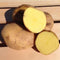 Unknown Yukon Gold Potato Seed/Tubers, Yellow-Flesh Standard, 5 Lb, United States