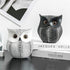 Owl Decor Sculpture for Home, Office, Bookshelf, TV Stand, Minimalist Resin Animal Crafts Gift for Friends, Family