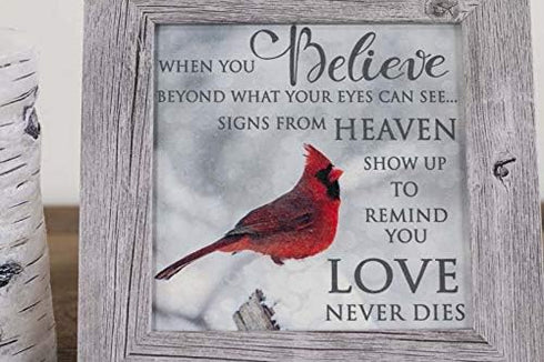 Summer Snow Cardinal Sympathy Picture | When You Believe Beyond What Your Eyes Can See | SS6848 - Framed Glittered