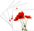 3dRose CST_217331_3 Delicate Red Poppies Vector Ceramic Tile Coasters, Set of 4