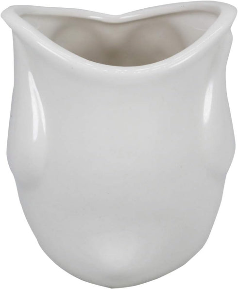 White Ceramic Owl Succulent Planter Pot with Drainage Tray, Cute Animal Cactus Container