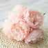 Tinsow Artificial Peony, 5 Pcs Faux Peonies with Stems for Home and Wedding Decoration