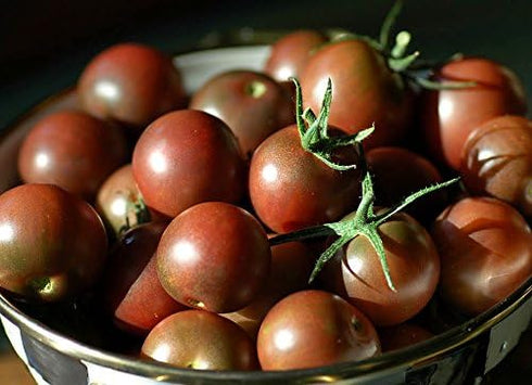Harley Seeds 30+ Black Cherry Tomato Seeds, Heirloom Non-GMO, Low Acid, Indeterminate, Open-Pollinated, Sweet