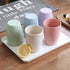 Eco-friendly Unbreakable Reusable Drinking Cup for Adults (12 OZ), Wheat Straw Glasses Healthy Tumbler Set, 5-Multicolor