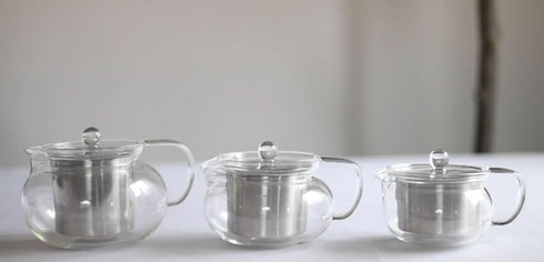 2-in-1 Teabloom Kyoto Tea Kettle and Tea Maker Glass Teapot with Removable Loose Tea Infuser Tea Connoisseur's Choice