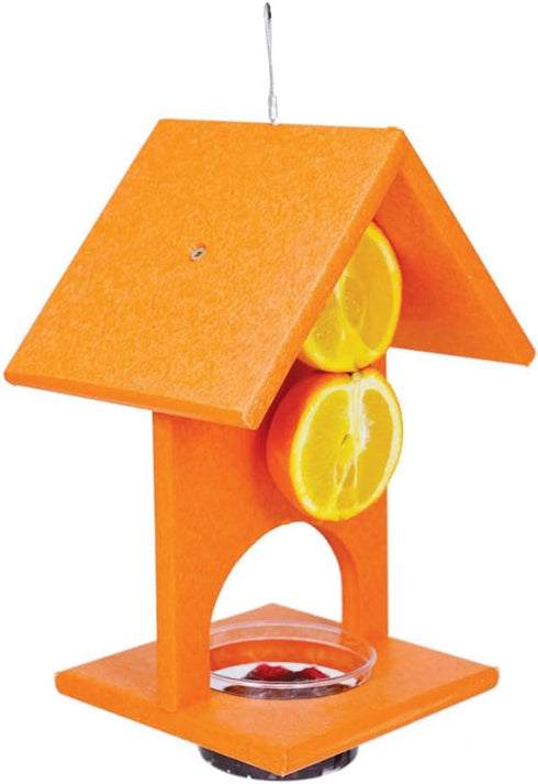 (Set 1) Songbird Essentials SERUBFJF Fruit and Jelly Oriole Feeder