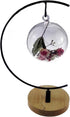 Archi G-Shaped Ornament Display Stand, Iron Pothook Stand for Hanging Glass Terrarium/Picture with Wood Base