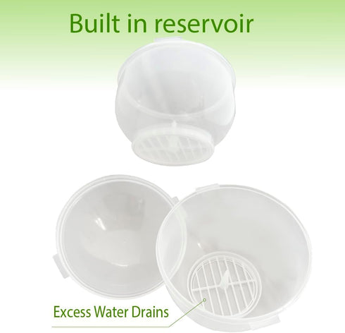Trenton Gifts Set 2. 7" 8". Lettuce And Vegatable Storage Keeper. of X