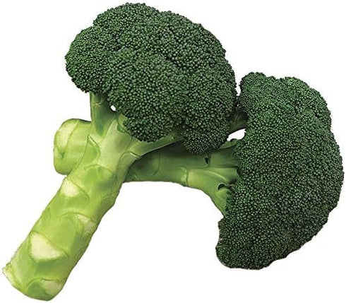 Park Seed Variety of Broccoli Plant Seeds, Easy to Grow, Perfect for