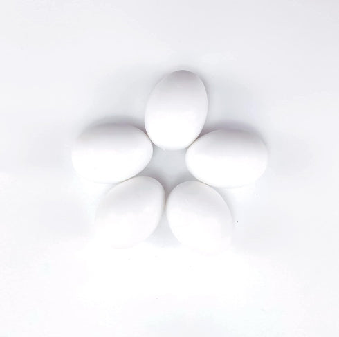 Azatemgo 10 Pieces Pigeon Eggs Solid Plastic Eggs for Hatching Help Limit Births Laying Pigeon Agricultural Tool