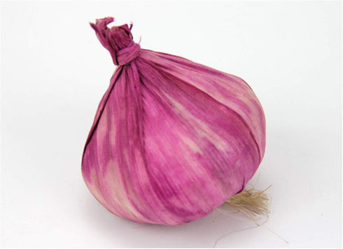 Zzooi 10PCS Artificial Lifelike Fake Garlic Faux Garlic White and Red Totall