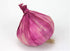 Zzooi 10PCS Artificial Lifelike Fake Garlic Faux Garlic White and Red Totall