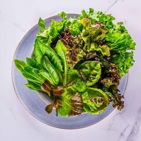 6-Pod AeroGarden Mixed Romaine Lettuce Seed pod Kit
