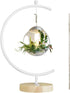 YY YEARCHY Large Metal Ornament Display Stand, Iron Pothook for Hanging Glass Terrarium Globe
