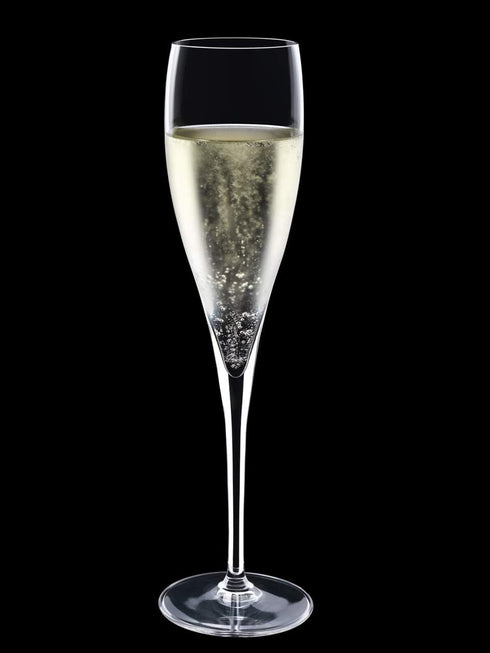 Luigi Bormioli 6 oz Sparkling Wine Glasses (Set of 2), Clear