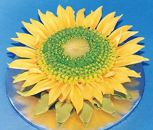 Sunflower Petal Cutters Set of 4 Sizes