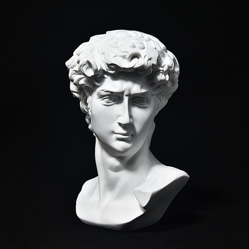 fazhongfa Greek Statue of David Bust Resin Sculpture for Roman Bookshelf Tabletop