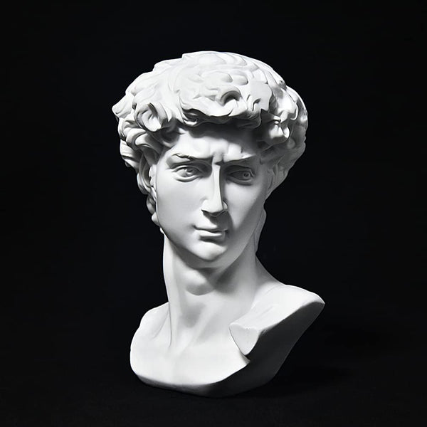 fazhongfa Greek Statue of David Bust Resin Sculpture for Roman Bookshelf Tabletop
