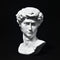 fazhongfa Greek Statue of David Bust Resin Sculpture for Roman Bookshelf Tabletop