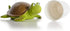 XY-WQ Floating Pool Chlorine Dispenser (Turtle) - Fits 1 and 3 Inch Tablets for Pools, Hot Tub, Spa