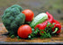 Valley Greene 100 100% (100, Assorted Heirloom Vegetable Seeds Non-GMO Deluxe Assorted Vegetable Seeds)