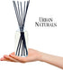 Urban Naturals Honeysuckle & Jasmine Reed Diffuser Oil Set - Long Lasting Air Freshener Made in USA