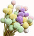 INVISIKAYAK Craspedia Globosa Material Flower, Immortal Eternal Flowers Gift, 40 Pcs in B-red