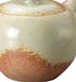 Tokoname Y715 Isshin Ash Glazed Round Teapot for Tea, 8.1 fl oz (230 ml)