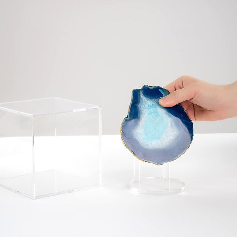 Clear Acrylic Mineral Geode Fossil Coral 3-Peg Round Holder, Dustproof Box for Small Collectibles Display, Large 5x5x5in