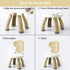 2+ Toddler Chair,Plastic Kids Dino Chair,Sturdy Durable and Lightweight Toddler's Activity Chairs,Anti-Slip Ergonomic