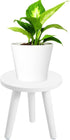 Samll 8.6"Tall Plant Stand Indoor/Outdoor for Plants,Wood White Planter Stands Holder Mid Century Pedestal Shelf,Sturdy