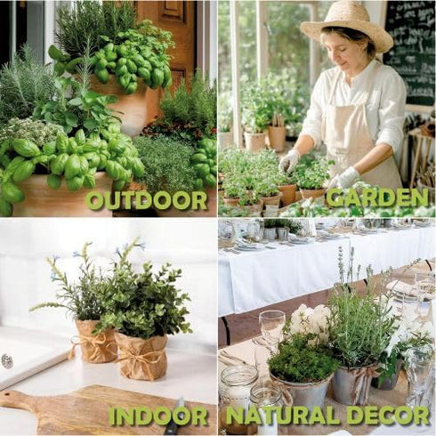 EquSym 10 Herb Window Garden Kit Indoor - Herb Seeds for Indoor & Outdoor Gardening, Seeds for Planting, Gardening Gift
