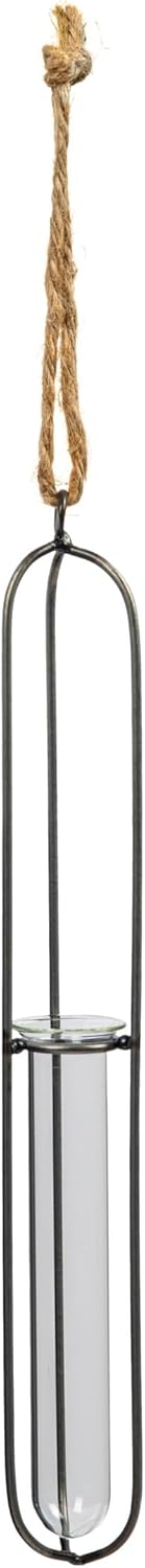 Creative Co-Op Small Hanging Metal & Glass Test Tube Vase