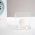 3 Pegs Round Display Easel Stands with Transparent Acrylic Box, Multiple Decoration Storage Case, Small Items Stands for Displaying Collectible Stone Rock Mineral Geodes (Medium-4x4x4in, 1Pcs)