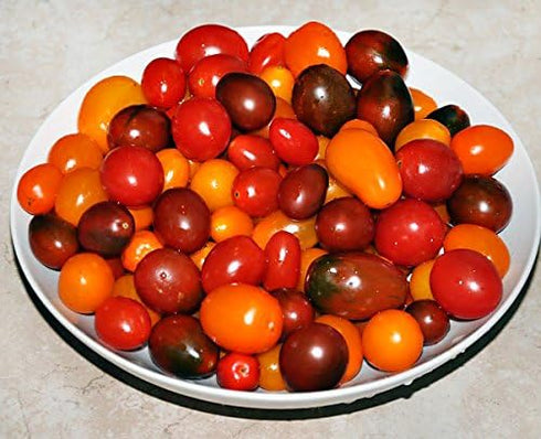 Harley Seeds 30 10 This is A Mix Cherry Tomato Mix Seeds Varieties Heirloom Non-GMO, Black, Lucky Tiger, Yellow Red