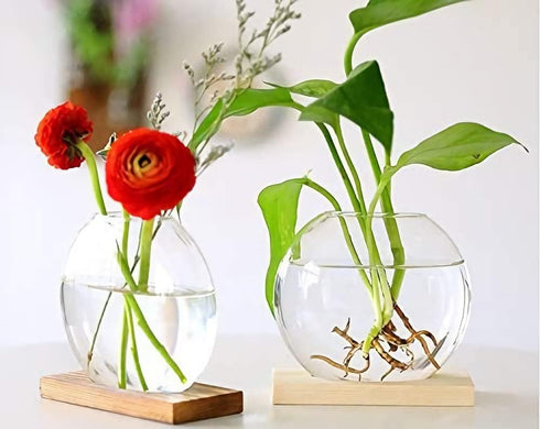 2-Pack, Kingbuy Round Glass Desktop Planter with Wooden Stand - Propagation Station for Small Hydroponic Plants, Spider