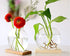 2-Pack, Kingbuy Round Glass Desktop Planter with Wooden Stand - Propagation Station for Small Hydroponic Plants, Spider