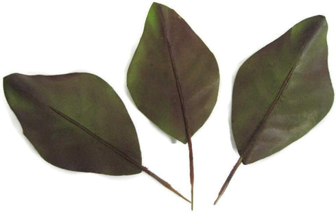 Artificial Magnolia Leaves Pack of 30