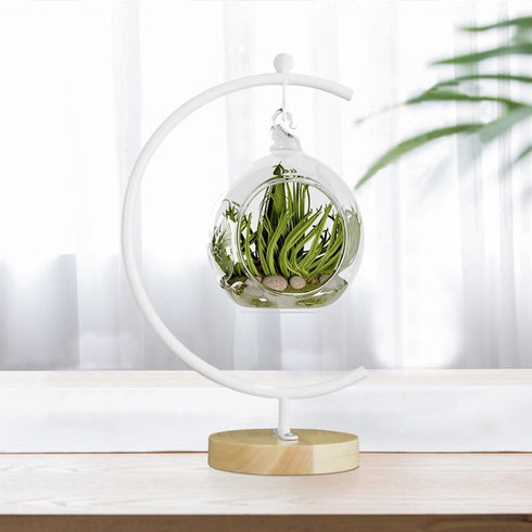 YY YEARCHY Large Metal Ornament Display Stand, Iron Pothook for Hanging Glass Terrarium Globe