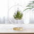 YY YEARCHY Large Metal Ornament Display Stand, Iron Pothook for Hanging Glass Terrarium Globe