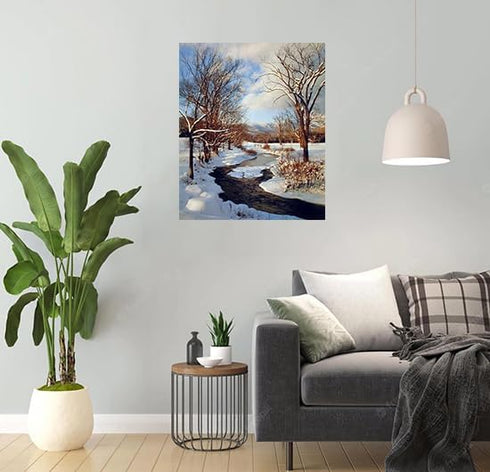 Scenery Winter Stream with Snow Landscape Wall Decor Art Print Poster (16x20)