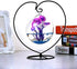 Archi Heart-Shaped Ornament Display Stand, 4 Pack Iron Pothook for Hanging Glass Terrarium (Heart)