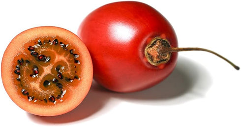 Noah's Seed Depository 35 Tamarillo Tree Tomato Tamamoro Tomate de Arbol Seeds PCS