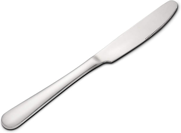 HIWARE 12-piece Stainless Steel Dinner Knives, 9 Inches