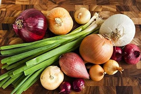 NIKA SEEDS 500 Seeds Vegetable Onion Rainbow Mix Neutral - Seeds