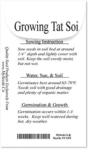 Pack (5,000) Pack Big - Tat SOI Tatsoi Tah Tsai Spinach Seed - Chinese Vegetable - Non-GMO Seeds by MySeeds.Co (Big