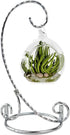 6 Inch Cute Ornament Display Stand,Twisted Silver Ornament Hanger Stand for Hanging Glass Globe, Air Plant Terrarium